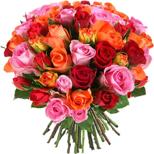 Colourful 50 roses bouquet